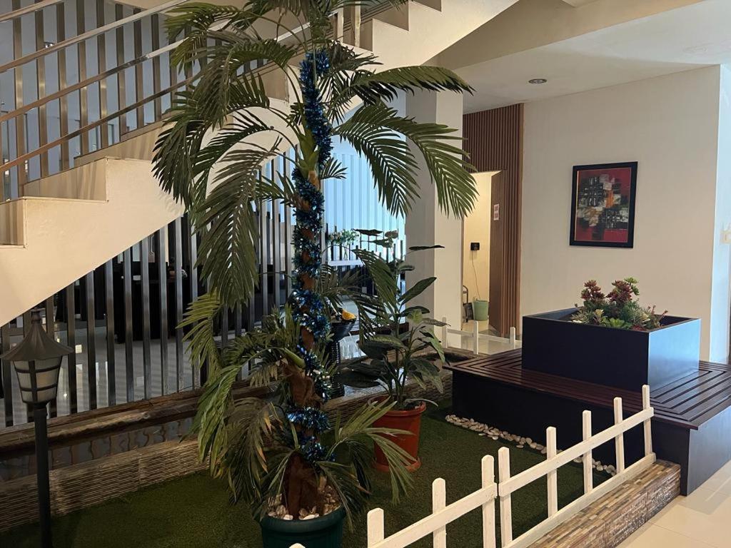 Ayla City Hotel Sorong Buitenkant foto